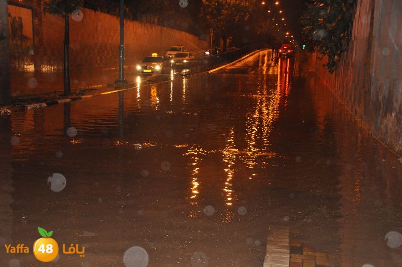 rain lud 1212 (26).JPG